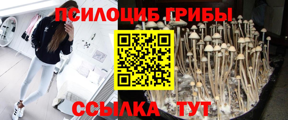 Рубцовск  Псилоцибиновые грибы MAGIC MUSHROOMS  Вход с VPN  Псилоцибиновые грибы Cubensis 