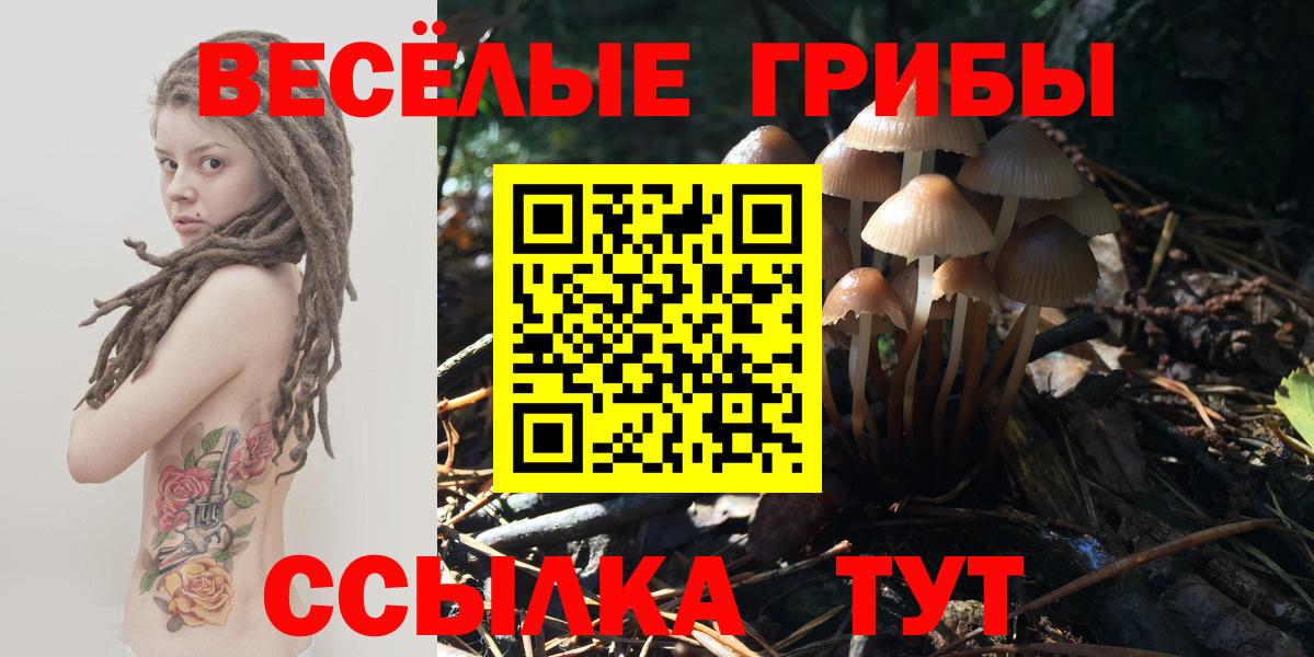 Галлюциногенные грибы прущие грибы Рубцовск